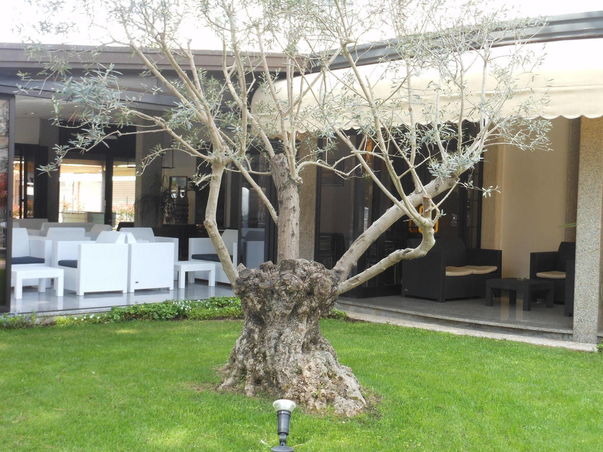 Hotel Jesolo Sand エクステリア 写真